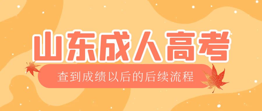 临清成考查完成绩以后做什么，临清成考网